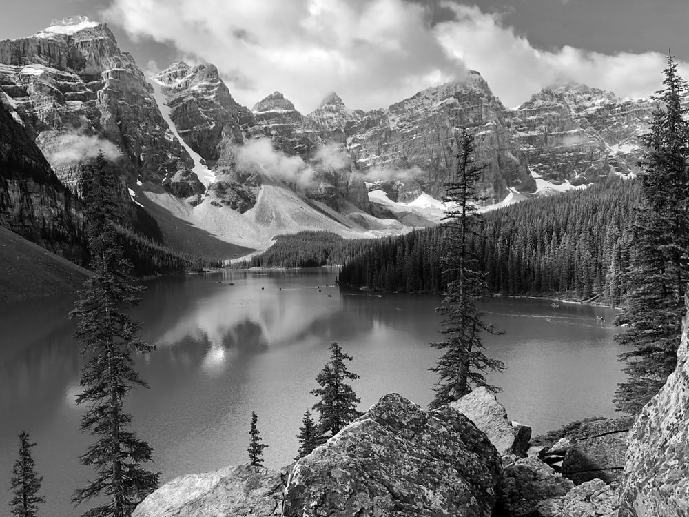 greyscale