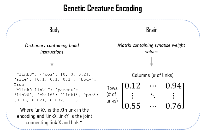 Genetic information graph